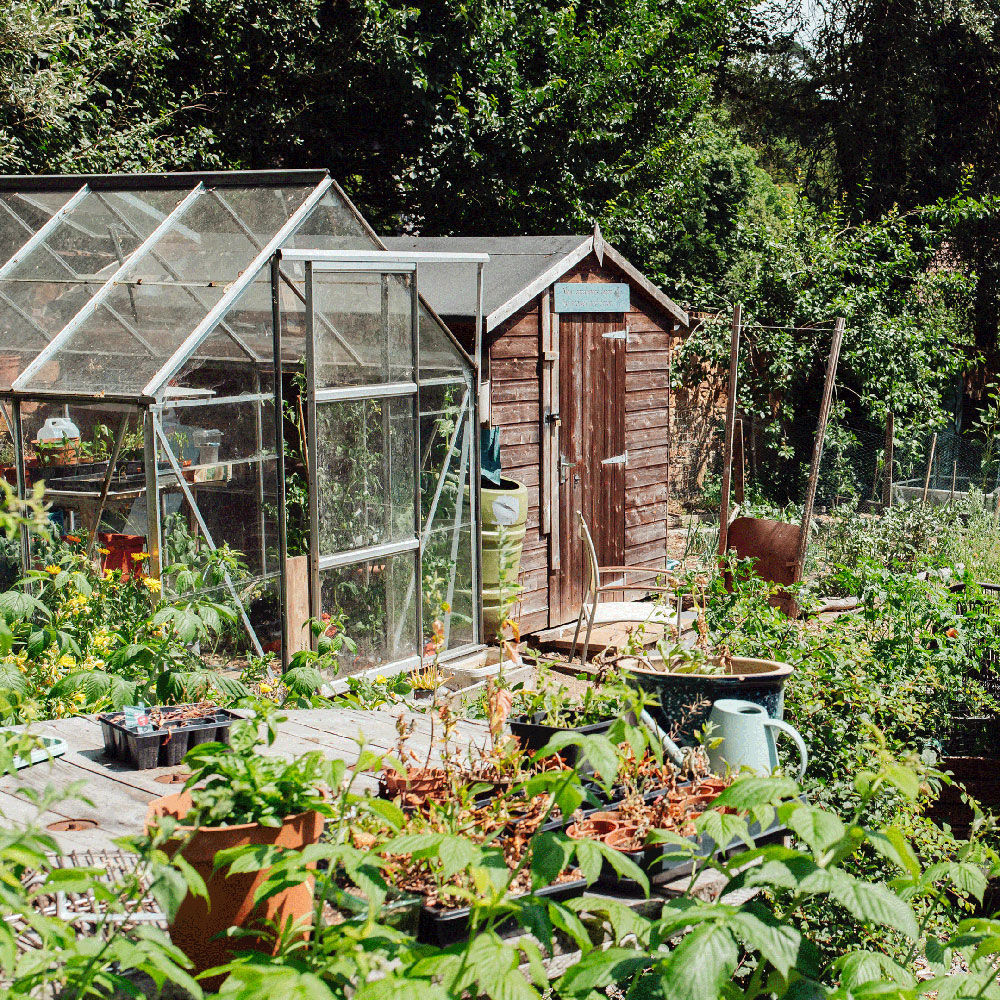 ORCHID Work - Sanctuary Trust